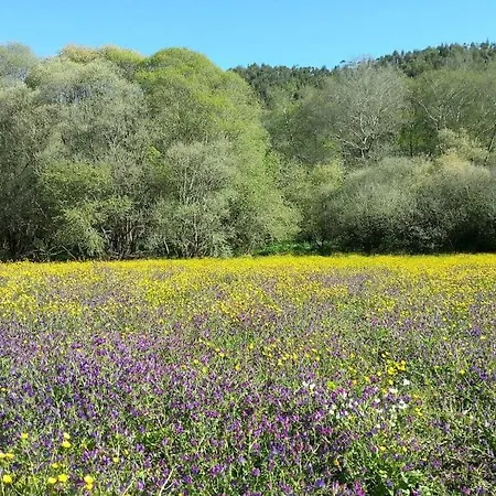 Beautiful Self-built Ecological House By The River