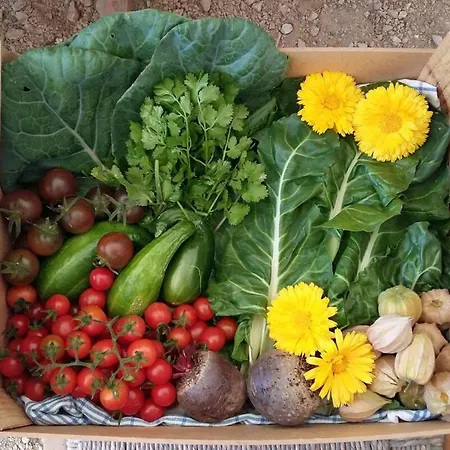 Beautiful Self-built Ecological House By The River Дом отдыха *