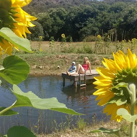 Сasa de vacaciones Beautiful Self-built Ecological House By The River *