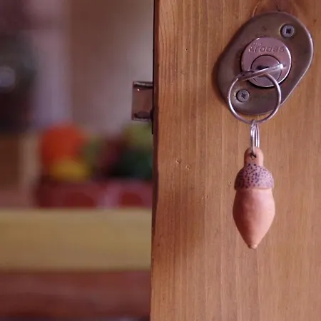 Beautiful Self-built Ecological House By The River * Одесейше