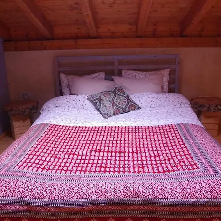 Beautiful Self-built Ecological House By The River